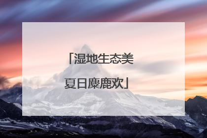 湿地生态美 夏日麋鹿欢
