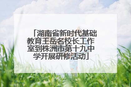 湖南省新时代基础教育王岳名校长工作室到株洲市第十九中学开展研修活动