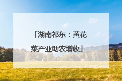 湖南祁东：黄花菜产业助农增收