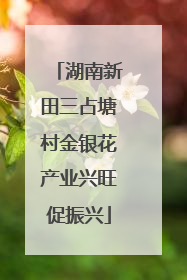 湖南新田三占塘村金银花产业兴旺促振兴
