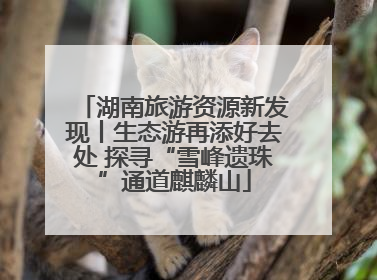 湖南旅游资源新发现丨生态游再添好去处 探寻“雪峰遗珠”通道麒麟山