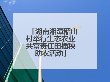 湖南湘潭韶山村举行生态农业共富责任田插秧助农活动
