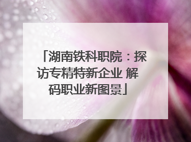 湖南铁科职院：探访专精特新企业 解码职业新图景