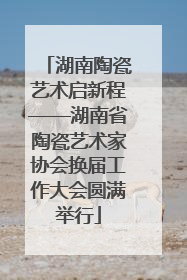湖南陶瓷艺术启新程——湖南省陶瓷艺术家协会换届工作大会圆满举行