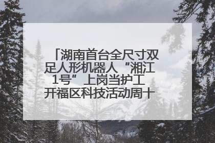 湖南首台全尺寸双足人形机器人“湘江1号”上岗当护工 开福区科技活动周十大科创项目签约
