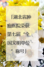 湖北省肿瘤医院荣获第七届“全国文明单位”称号