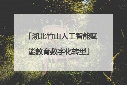湖北竹山人工智能赋能教育数字化转型