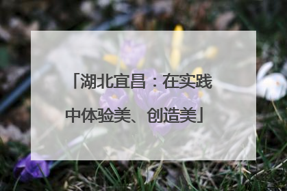 湖北宜昌：在实践中体验美、创造美