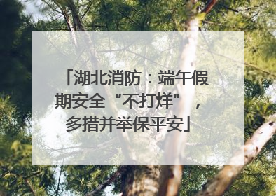 湖北消防：端午假期安全“不打烊”，多措并举保平安