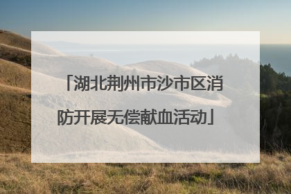 湖北荆州市沙市区消防开展无偿献血活动