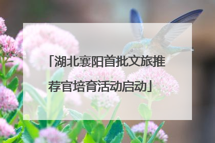 湖北襄阳首批文旅推荐官培育活动启动