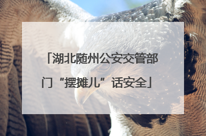 湖北随州公安交管部门“摆摊儿”话安全