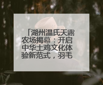 湖州温氏天露农场揭幕：开启中华土鸡文化体验新范式，羽毛球世界冠军郑思维助力品牌兴农