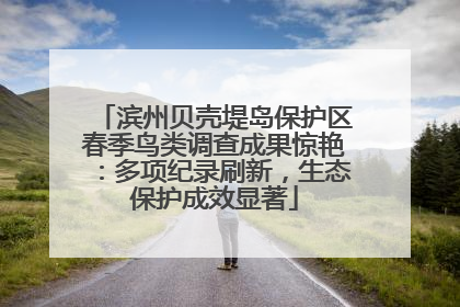 滨州贝壳堤岛保护区春季鸟类调查成果惊艳：多项纪录刷新，生态保护成效显著