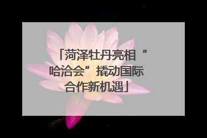 菏泽牡丹亮相“哈洽会”撬动国际合作新机遇