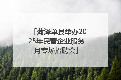 菏泽单县举办2025年民营企业服务月专场招聘会