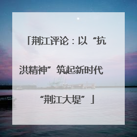 荆江评论：以“抗洪精神”筑起新时代“荆江大堤”