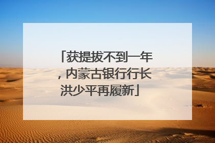 获提拔不到一年，内蒙古银行行长洪少平再履新