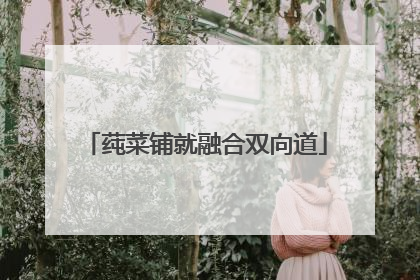 莼菜铺就融合双向道