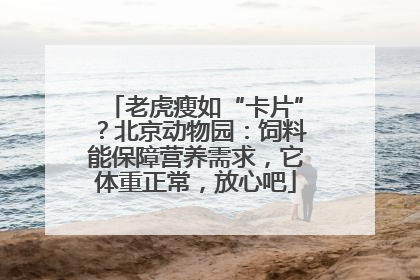 老虎瘦如“卡片”？北京动物园：饲料能保障营养需求，它体重正常，放心吧