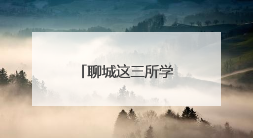 聊城这三所学校新设“安全岛”，学生上学路交通安全升级