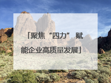 聚焦“四力” 赋能企业高质量发展