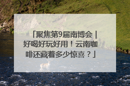 聚焦第9届南博会｜好喝好玩好用！云南咖啡还藏着多少惊喜？
