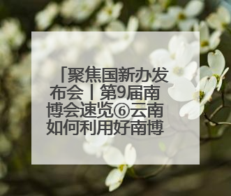 聚焦国新办发布会丨第9届南博会速览⑥云南如何利用好南博会的平台带动作用，深化与南亚国家的交流与合作？