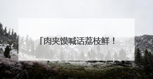 肉夹馍喊话荔枝鲜！“十五运·十五城”西安站活动圆满举行