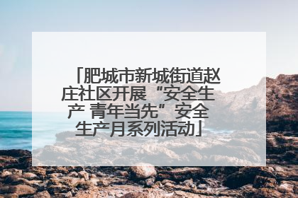肥城市新城街道赵庄社区开展“安全生产 青年当先”安全生产月系列活动