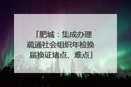肥城：集成办理 疏通社会组织年检换届换证堵点、难点