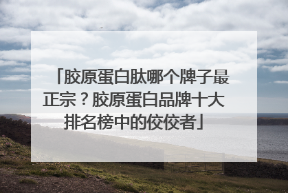 胶原蛋白肽哪个牌子最正宗？胶原蛋白品牌十大排名榜中的佼佼者