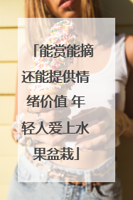 能赏能摘还能提供情绪价值 年轻人爱上水果盆栽