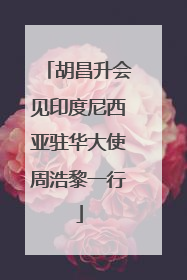 胡昌升会见印度尼西亚驻华大使周浩黎一行