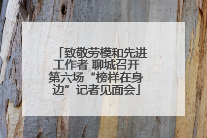 致敬劳模和先进工作者 聊城召开第六场“榜样在身边”记者见面会