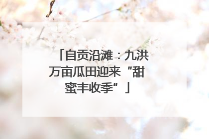 自贡沿滩：九洪万亩瓜田迎来“甜蜜丰收季”