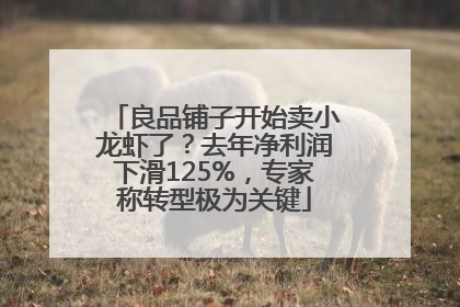 良品铺子开始卖小龙虾了？去年净利润下滑125%，专家称转型极为关键