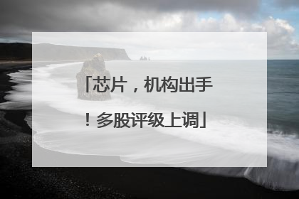 芯片，机构出手！多股评级上调