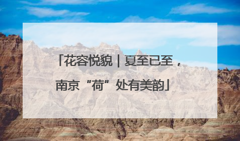 花容悦貌｜夏至已至，南京“荷”处有美韵