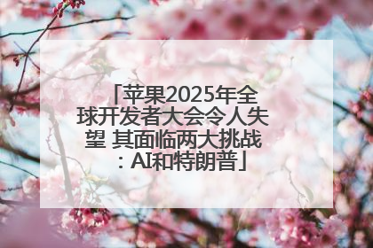 苹果2025年全球开发者大会令人失望 其面临两大挑战：AI和特朗普
