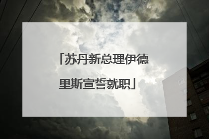 苏丹新总理伊德里斯宣誓就职