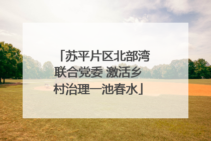 苏平片区北部湾联合党委 激活乡村治理一池春水