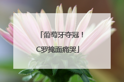 葡萄牙夺冠！C罗掩面痛哭