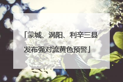 蒙城、涡阳、利辛三县发布强对流黄色预警