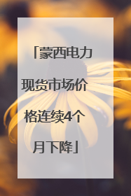 蒙西电力现货市场价格连续4个月下降