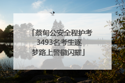 蔡甸公安全程护考 3493名考生逐梦路上警徽闪耀