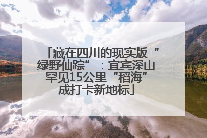 藏在四川的现实版“绿野仙踪”：宜宾深山罕见15公里“稻海”成打卡新地标