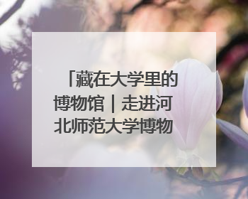 藏在大学里的博物馆｜走进河北师范大学博物馆天地科学馆：在校园里赴一场“宇宙之约”