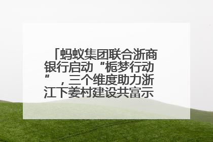 蚂蚁集团联合浙商银行启动“栀梦行动”，三个维度助力浙江下姜村建设共富示范区示范点