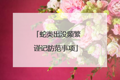 蛇类出没频繁 谨记防范事项